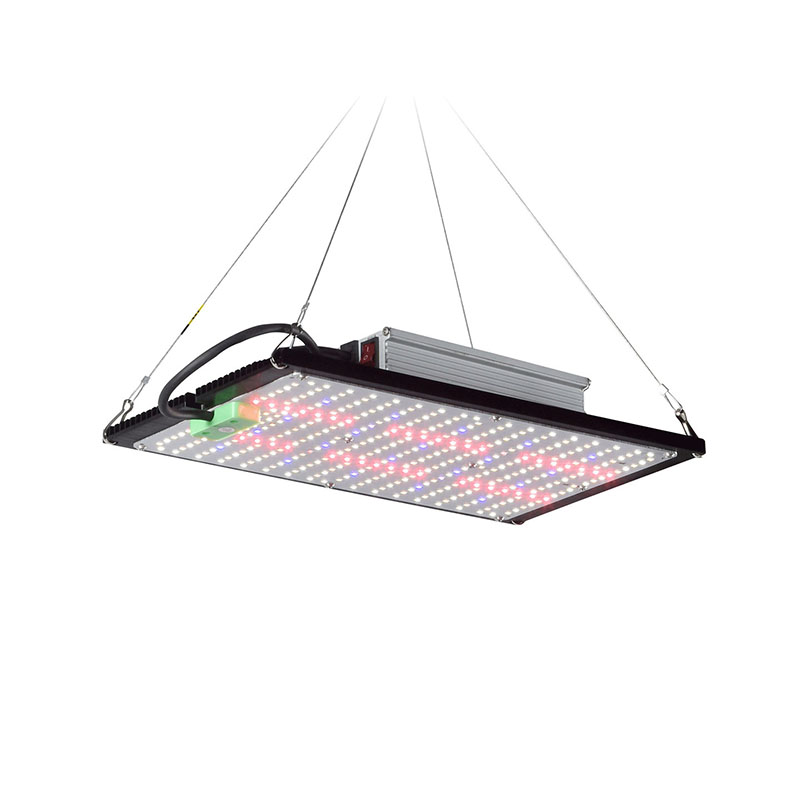 Plant Grow Light Full Spectrum - Lampu LED Quantum-Board untuk Pertumbuhan Tanaman,