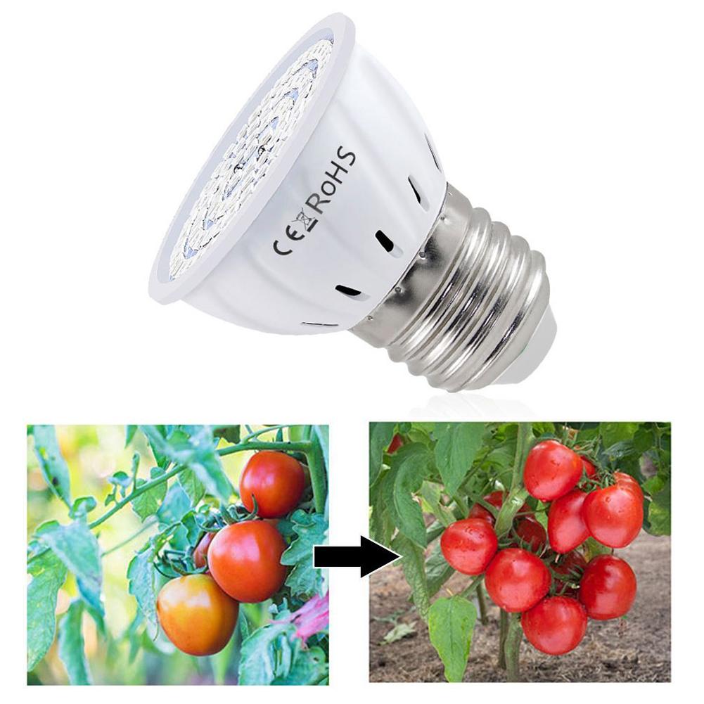 Plant Grow Light Full Spectrum - Bohlam LED Tumbuh Tanaman E27 60