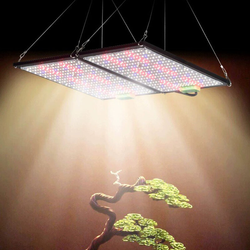Lampu LED Quantum-Board untuk  - Plant Grow Light Full Spectrum ulasan dan harga