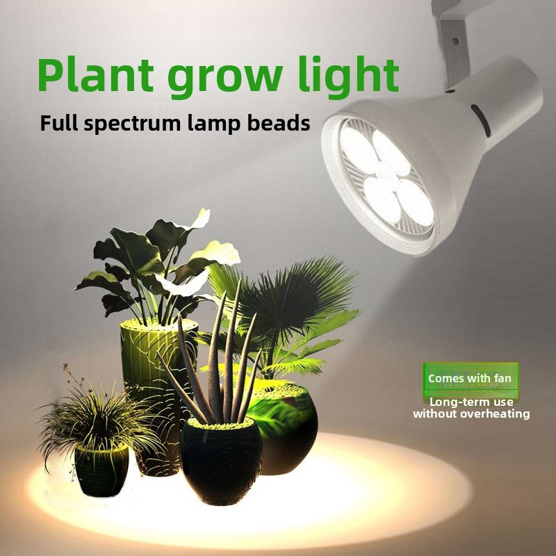 Lampu LED Spektrum Penuh untuk - Plant Grow Light Full Spectrum ulasan dan harga