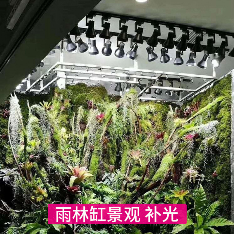 Lampu LED Spektrum Penuh untuk - Plant Grow Light Full Spectrum ulasan dan harga
