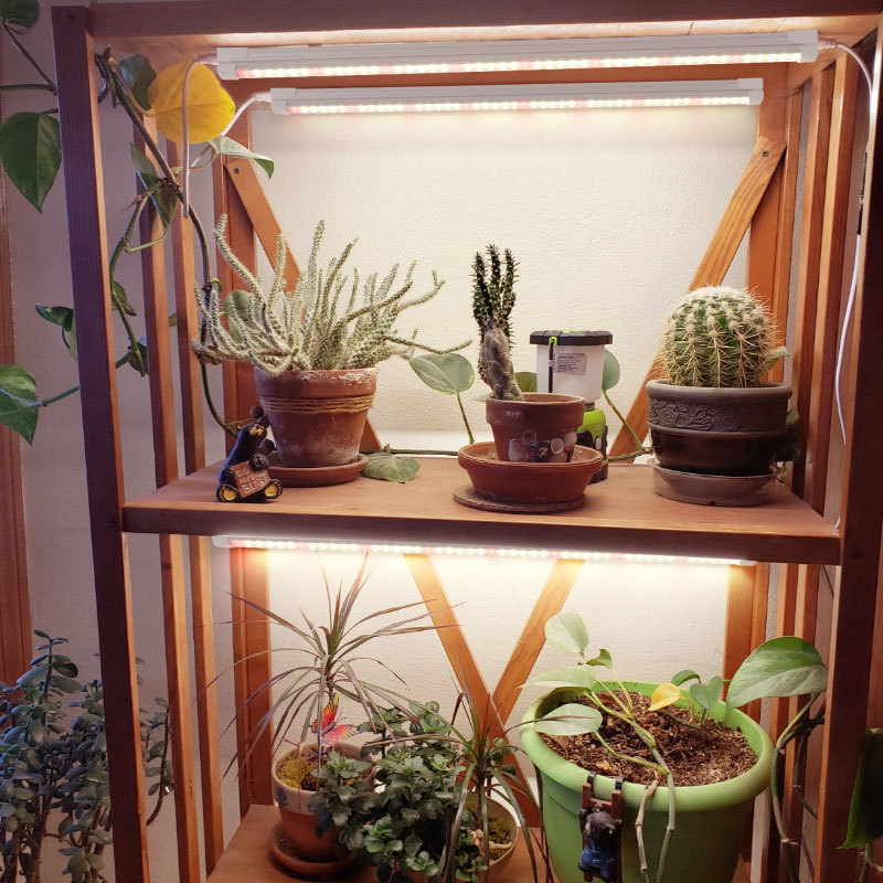Lampu Suplemen Tanaman Hijau D - Plant Grow Light Full Spectrum ulasan dan harga