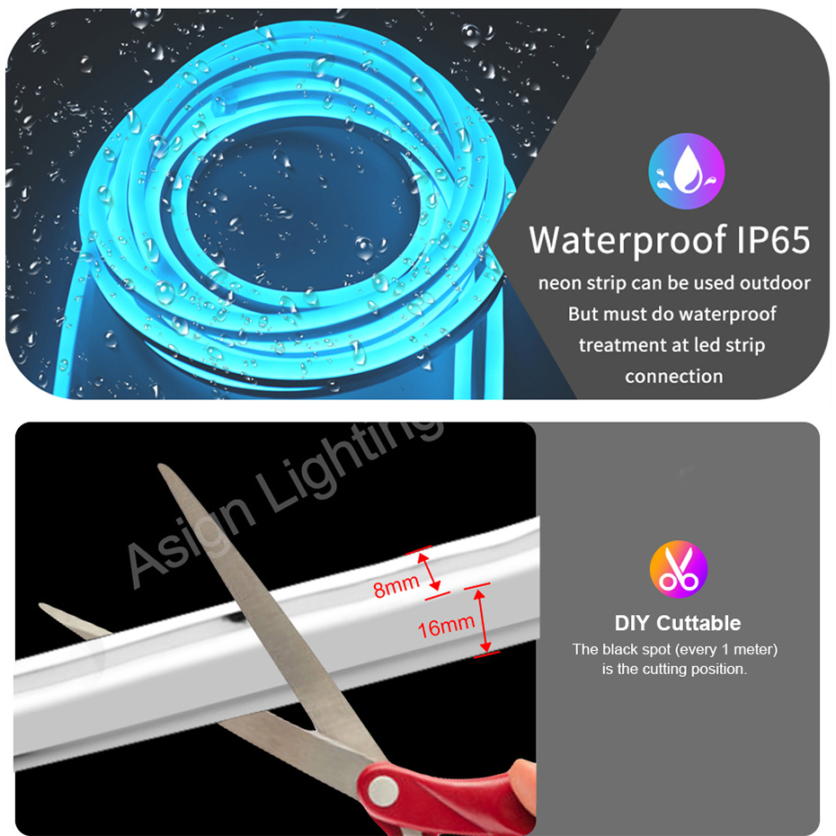 Lampu Neon LED RGB Pintar deng - Smart Garden Uk ulasan dan harga