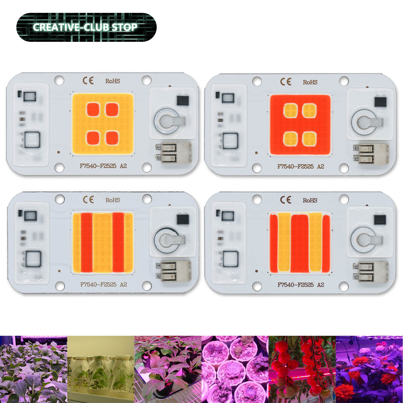 50W LED CIP COB pengelasan Gra - Plant Grow Light Full Spectrum ulasan dan harga