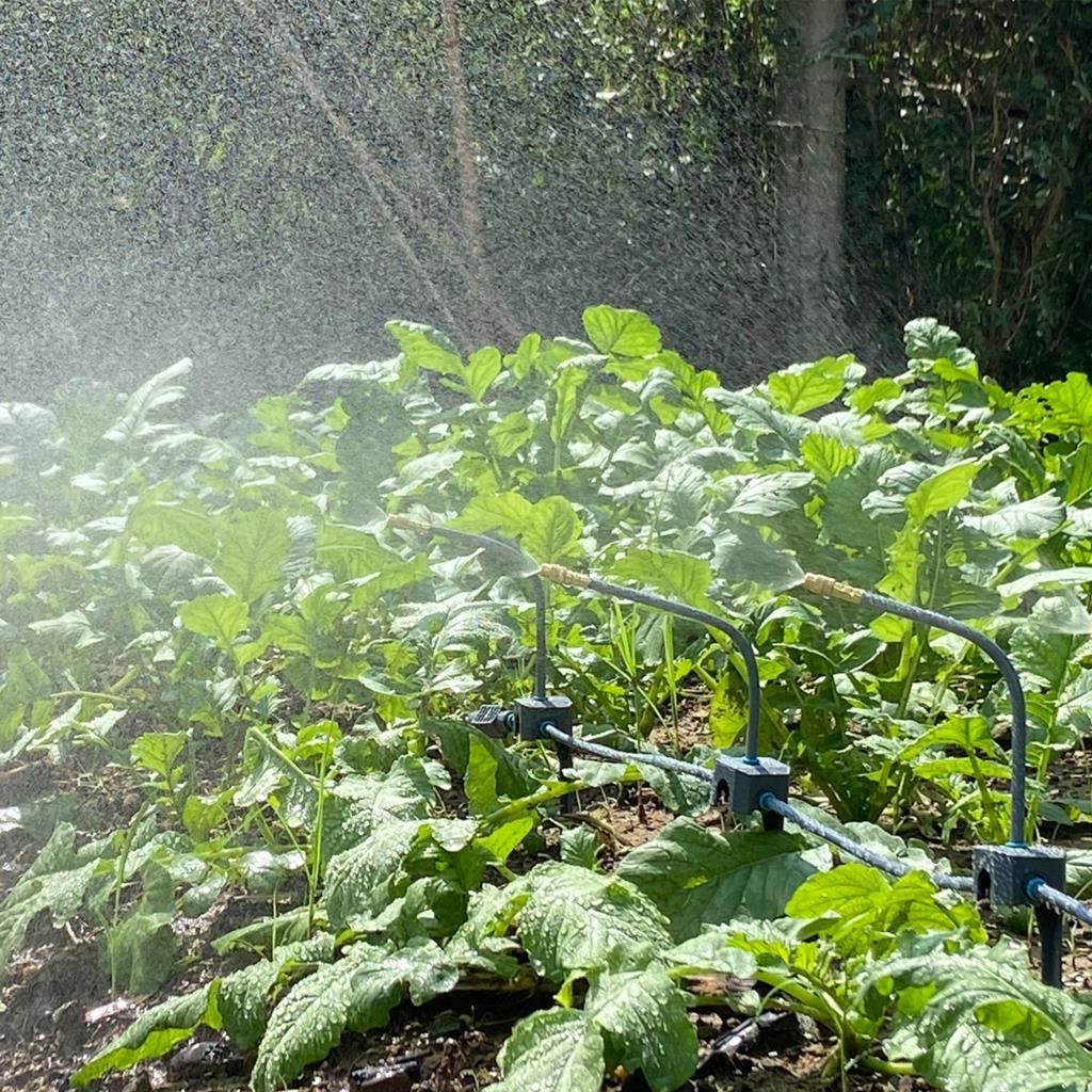 Taman sistem pendingin kabut 5 - Smart Garden Irrigation System ulasan dan harga