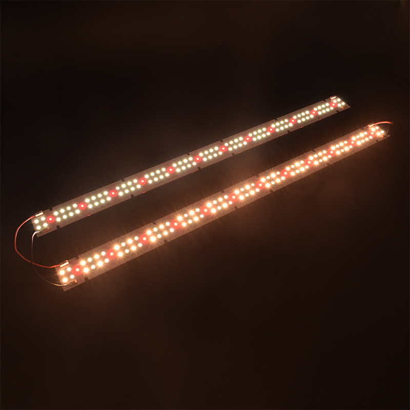 Lampu Tumbuh LED COB Berkualit - Plant Grow Light Full Spectrum ulasan dan harga