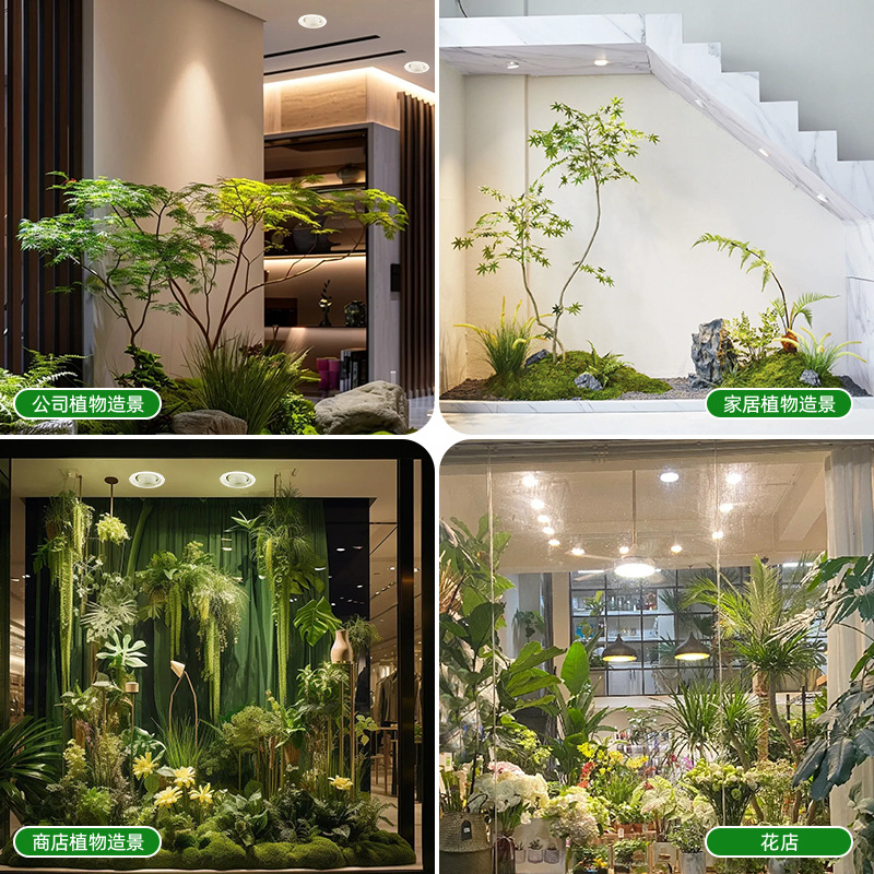 Lampu LED Spektrum Penuh yang  - Plant Grow Light Full Spectrum ulasan dan harga