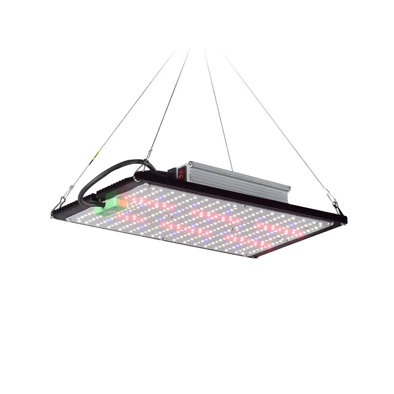 Lampu LED Quantum-Board untuk  - Plant Grow Light Full Spectrum ulasan dan harga