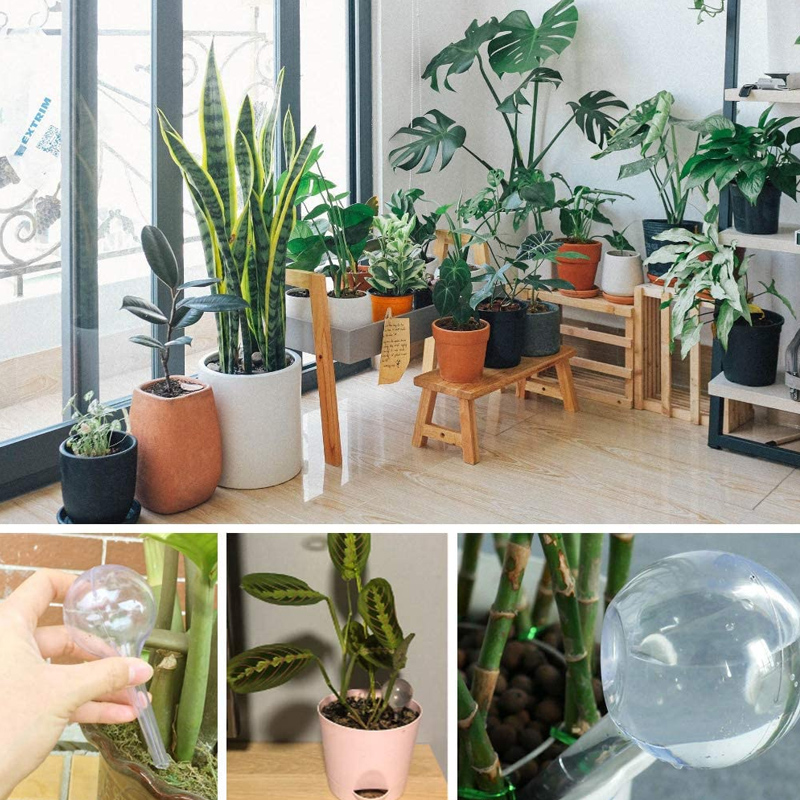 5/10 buah bohlam penyiram tana - Smart Garden Project ulasan dan harga